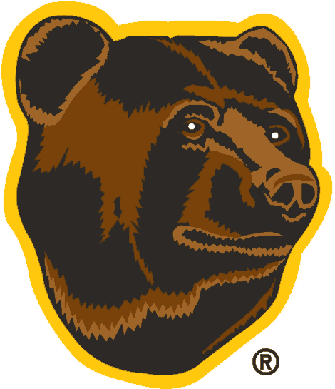 Boston Bruins 1995-2007 Alternate Logo iron on heat transfer